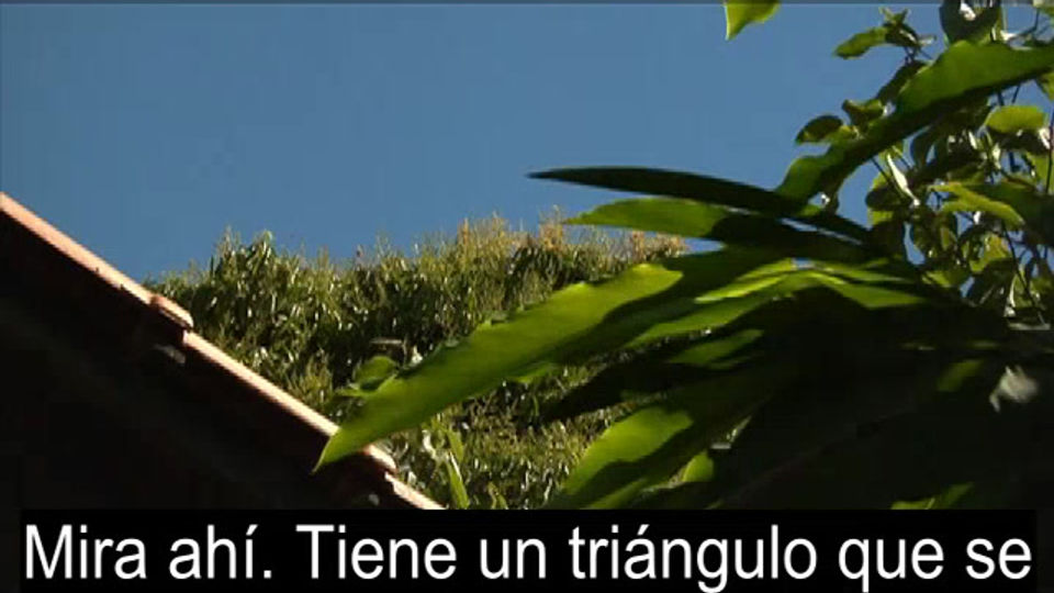 Trasbordando